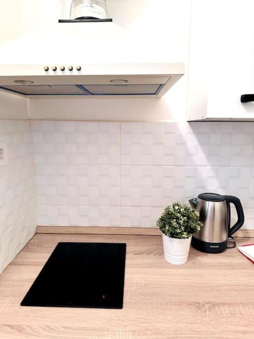 F2 Ultra Central Danube Loft Budapest Eksteriør bilde